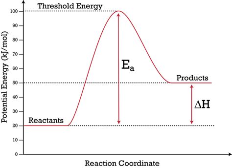 39 potential energy diagram endothermic - Wiring Diagram Info