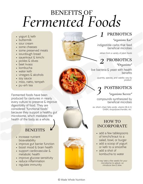 Benefits of Fermented Foods Handout — Functional Health Research ...