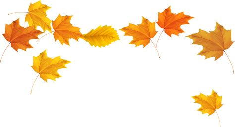 Download Autumn Leaves Transparent Png, Png Download - vhv