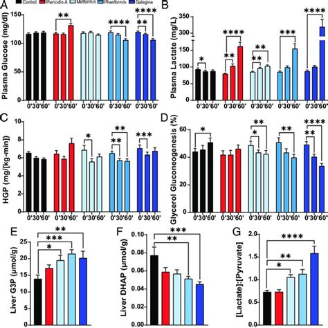 Metformin, phenformin, and galegine, but not piericidin A, inhibit ...