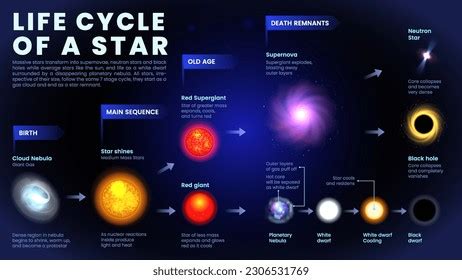 Vector Illustration Stages Star Life Cycle Stock Vector (Royalty Free ...