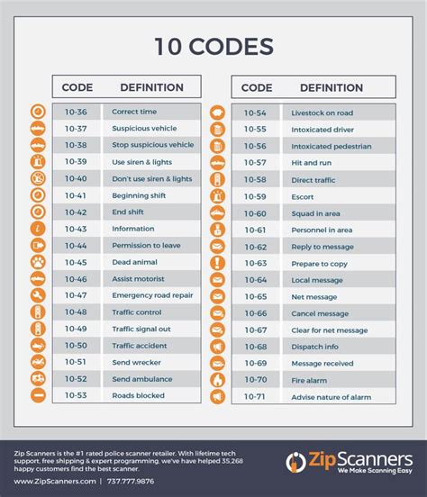 Top 10 Coders in 2013 Infographic