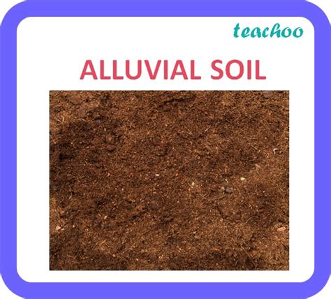 Types Of Soil Alluvial