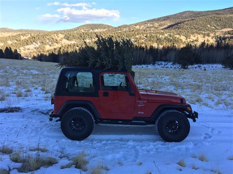 Christmas tree fun ! | Jeep Wrangler TJ Forum