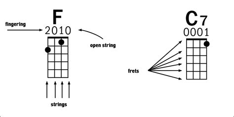 Your First Ukulele Lesson: A Beginner’s Guide to Playing Ukulele ...