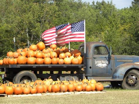 10 Pumpkin Patches to Visit in Georgia This Fall - TripsToDiscover