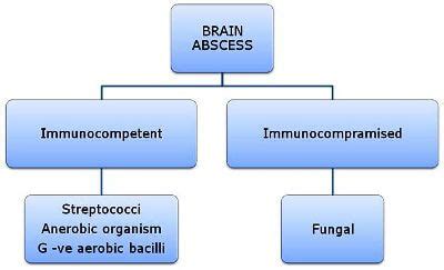 Brain abscess in Children - Pathogenesis, diagnosis and management ...