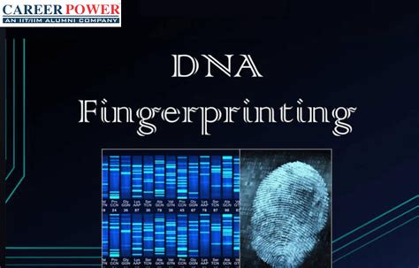 DNA Fingerprinting: Steps and Applications