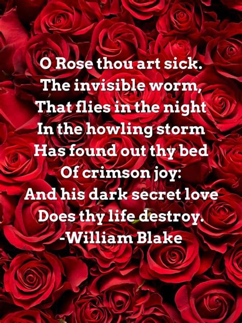 23 Red Poem Inspiration with Color & Roses - Aestheticpoems