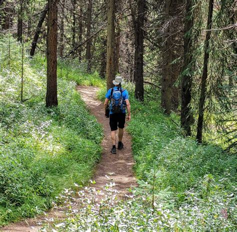 Valley of the Five Lakes Hike, Jasper | Hike Bike Travel