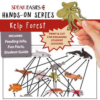 Dive into the Kelp Forest--Food Web Fun! | TpT