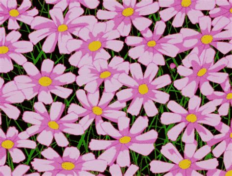 Pink Flower GIFs - Find & Share on GIPHY