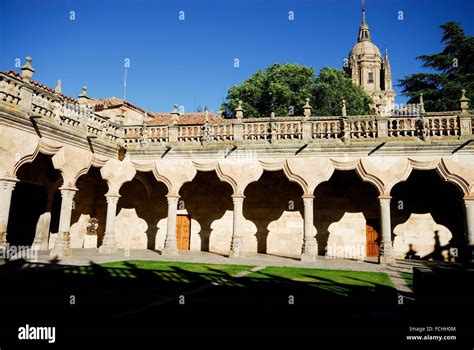 Patio of the Schools in the University of Salamanca, Spain Stock Photo ...