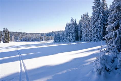 Fresh Snow in the Mountains Stock Photo - Image of alps, christmas: 7949452