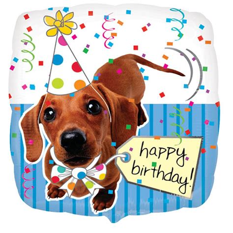 Happy Birthday From The Dog Images - BIRTHDAY HQP