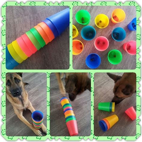 Spellen | Denkspellenvoorjehond.jouwweb.nl | Diy dog toys, Dog games ...