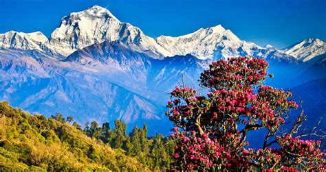 Dhulikhel Tours & Travel Information - Nepal - Asia Tours