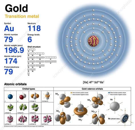 Gold, atomic structure - Stock Image - C046/0338 - Science Photo Library