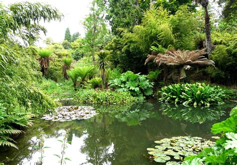 The Lost Gardens Of Heligan Cornwall Uk | Fasci Garden