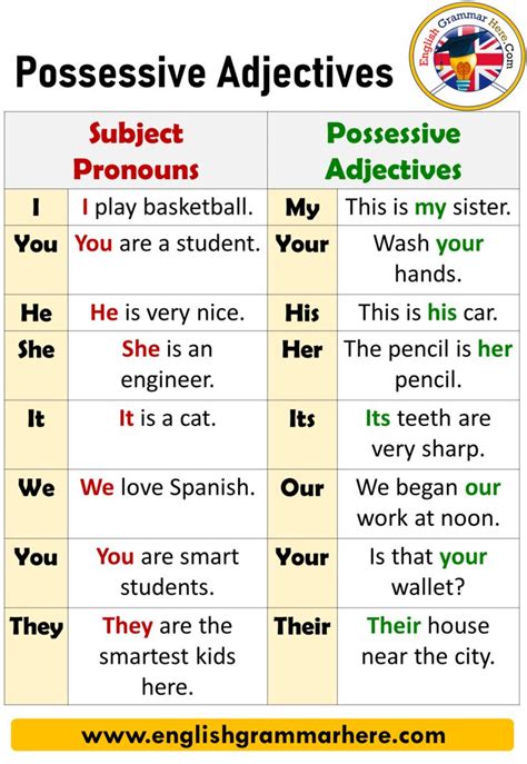 English Using Possessive Adjectives, Definition and Example Sentences ...