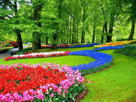 Keukenhof Gardens Free Wallpaper - WallpaperSafari