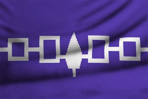 Flag of Iroquois Confederacy — Stock Photo © bennyx83 #8710876