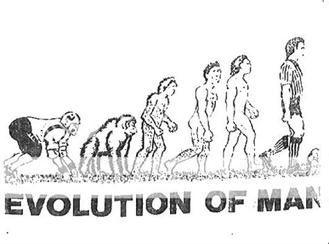 Evolution of the human race | The Compost Bin | Forums ...