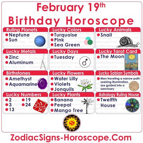 February 19 Zodiac – Complete Birthday Personality and Horoscope in ...