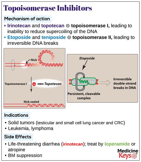 Topoisomerase inhibitors - Medicine Keys for MRCPs