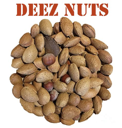 Deez Nuts Photograph by Glenn Harvey