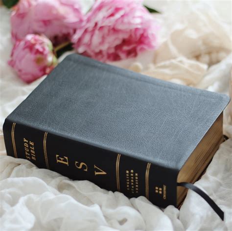 ESV Study Bible - Personal Size - Black Leather – The Daily Grace Co.