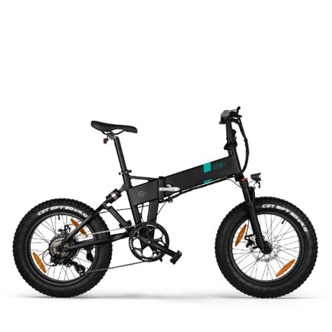 Fiido T1 Powerful Utility Electric Bike for Family - Fiido