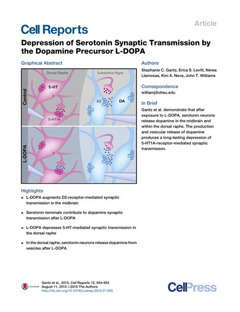 (PDF) Depression of Serotonin Synaptic Transmission by the Dopamine ...