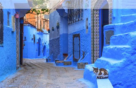 The Truth Behind Chefchaouen, Morocco's Blue City - Black Platinum Gold