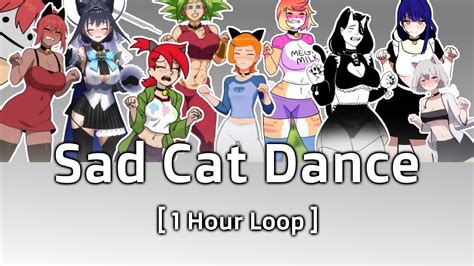 Sad Cat Dance Meme - 1 Hour Loop - YouTube