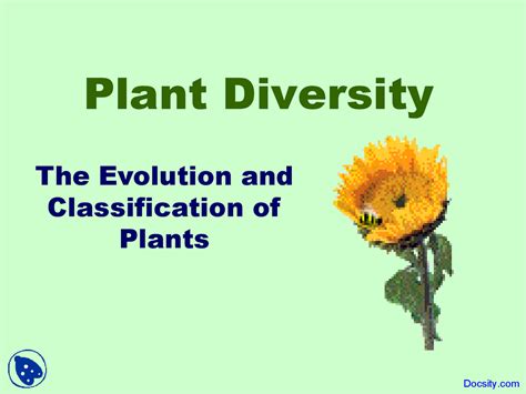 Plant Divisions - Plant Science - Lecture Slides - Docsity