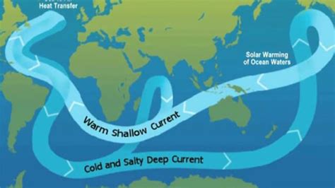 The ocean conveyor belt — Science Learning Hub