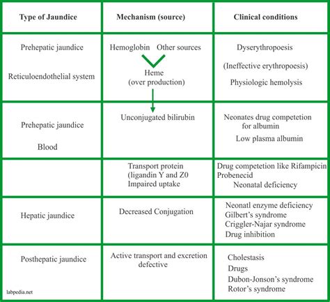 What Is Jaundice And Types Of Jaundice Siawht | Images and Photos finder