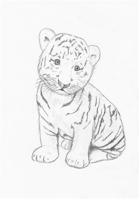 Tiger cub by MarieMaillard on DeviantArt