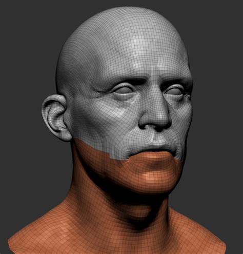 3D realistic head model - TurboSquid 1314732