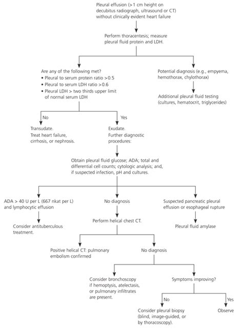 Diagnostic Approach to Pleural Effusion in Adults | AAFP