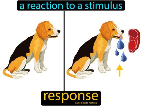 Response - Easy Science | No response, Easy science, Animal behavior