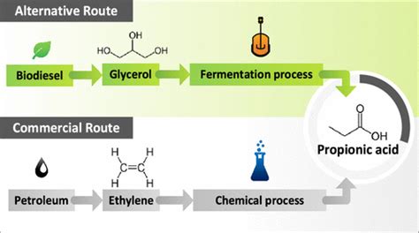 Sustainable Process Design of Propionic Acid Production from Glycerol ...