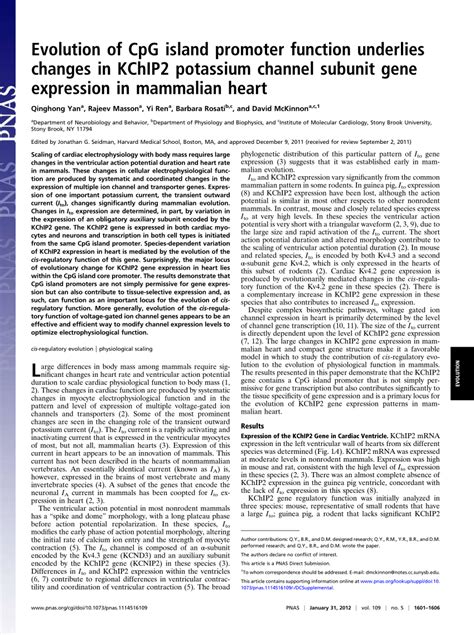 (PDF) Evolution of CpG island promoter function underlies changes in ...