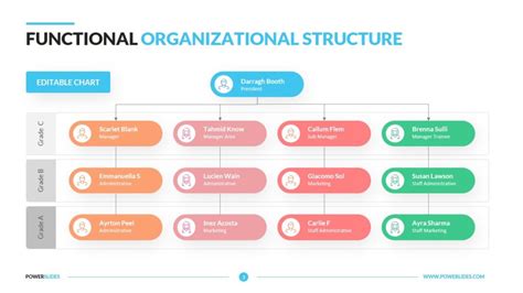 sunet alege bordură types of organizational chart verdict condensator ...