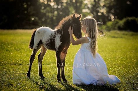 so sweet... Cute Horses, Pretty Horses, Beautiful Horses, Animals ...