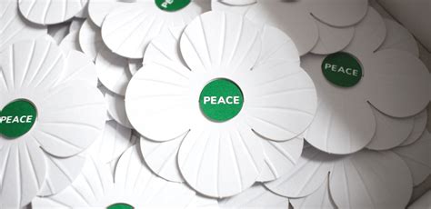 Remembrance & White Poppies | Peace Pledge Union