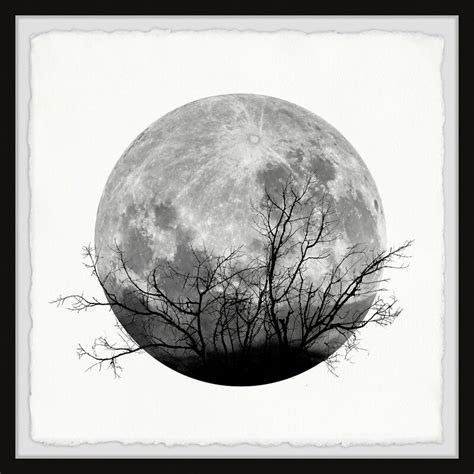 Union Rustic Forest Moon by Parvez Taj - 3 Piece Picture Frame Graphic ...