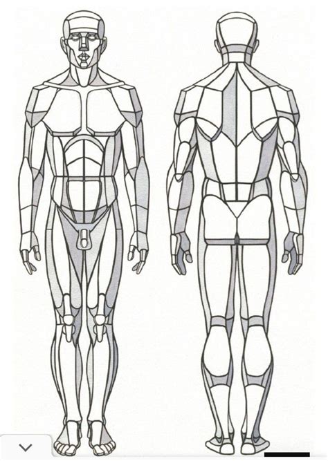 Figure Sketching, Figure Drawing Reference, Anatomy Reference, Art ...