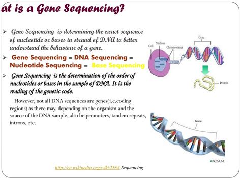 Different methods of gene sequencing durgesh sirohi